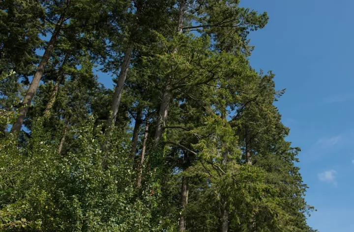 پرداخت ۲۲ هزار دلار غرامت!